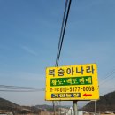 옥성순두부 이미지