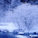 (주)메리크리스마스 이미지