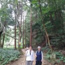 현송요양병원 이미지