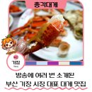 보광(아) | 부산 대게 맛집 추천 총각대게 기장 대게 내돈내산 후기