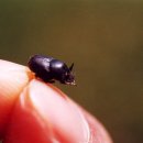 장흥목장 이미지