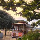 현대카프라자 | 샌프란시스코 호텔 제퍼(Hotel Zephyr) 숙박 후기, 피셔맨스 워프 피어39