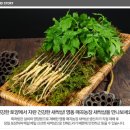 매곡농장 이미지