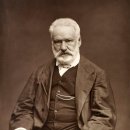 신 카카오 검색결과