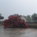 필암서원(외) 이미지