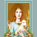 아녜스의 집 이미지