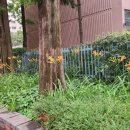 뉴스타프라자 이미지