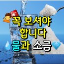 🚨꼭 보셔야 합니다!!!💧물과 소금💎 이미지