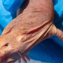 EFC PC ZONE 이미지