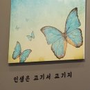 인생은 고기서 고기다(인고고) 이미지