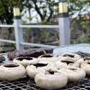 선양 빌리지돔 이미지