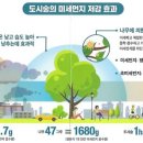 덕평공룡수목원 이미지