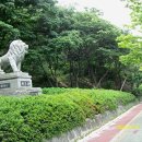 솔마루길 삼호산 Daum카페