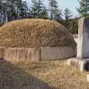 정빈민씨묘 이미지