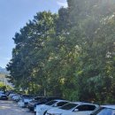 봉곡동213 이미지