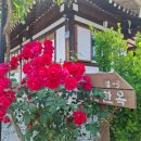 신선한옥펜션 | 부여 한옥 스테이 진짜 쉼을 느낀 곳 신선한옥펜션에서 힐링한 후기