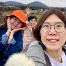 제이엠목장 | 제주 서귀포 목장카페 밭디 남녀노소 모두 즐기기 좋은 카페