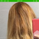 싹퉁머리 이미지
