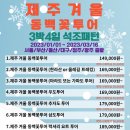 동백투어 - 해남군 중앙1로 146 | 동백투어