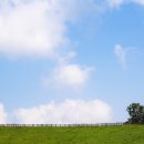 시원목장 이미지