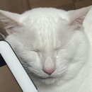 캥거루동물병원 이미지
