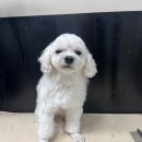 경명미용실