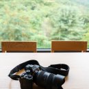 매화작은도서관 | 도시 속 숲스테이, 더숲 아카데미하우스 숙박 후기 (탐론 35-100mm F2.8, 소니 A7R4)