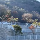 조밭 공영주차장 이미지