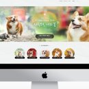 디자인35