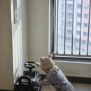 블레씽유 네이버블로그