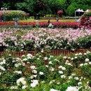 향기휴게점 이미지