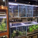 물고기(물과의 만남 이미지