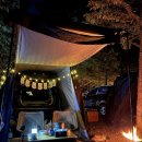 GR(홍성군)-[충절로]-하-1 | 🍋 Our 6th anniversary 🌳