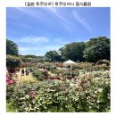 🌸 후쿠오카 동식물원 장미정원 후기｜가족여행 필수코스 | 자연과 동물을 한번에 볼 수 있는 곳