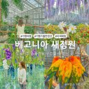 그린꽃식물원 | [공지] 가평 베고니아 새정원, 식물원과 동물원을 구경할 수 있는 곳 (할인, 후기)