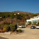 루셀로1 이미지