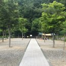 초막골생태공원 캠핑장 이미지