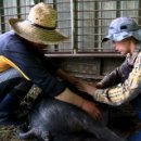 김순덕 농장 이미지