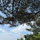 351 | 광교산 형제봉 등산, 초보자 등산코스 추천