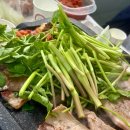 삼부자미나리 이미지