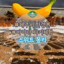 외딴농장 | 제주 스위트몽키 -후기 바나나 농장체험, 교육과 놀이를 한번에