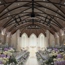 메종드메디칼(1층) 개방화장실 | [홀투어] 채플홀 노블발렌티 대치 투어 후기 - 26~27년 견적 공유