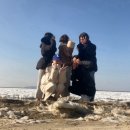 사또펜션 | 대부도 1박2일 여행(위치.숙박후기)