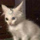 타이어천국(동구점) | 워케이션은 핑계고 그냥 혼자 부산 여행한 이야기-1