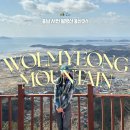 비인중학교 | 충남 서천 월명산⛰️ 서해바다를 한 눈에 내려다보는 등산코스