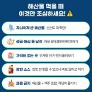나트랑 시내 해산물맛집 씨푸드 벱비엔 짜오마오 등 랍스타 후기