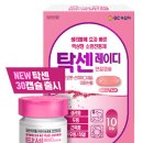 레이디 티스토리
