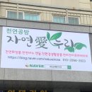 자연애법인 이미지