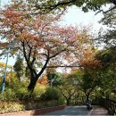 수봉자연학습원 이미지