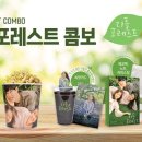 포레스트 굿즈